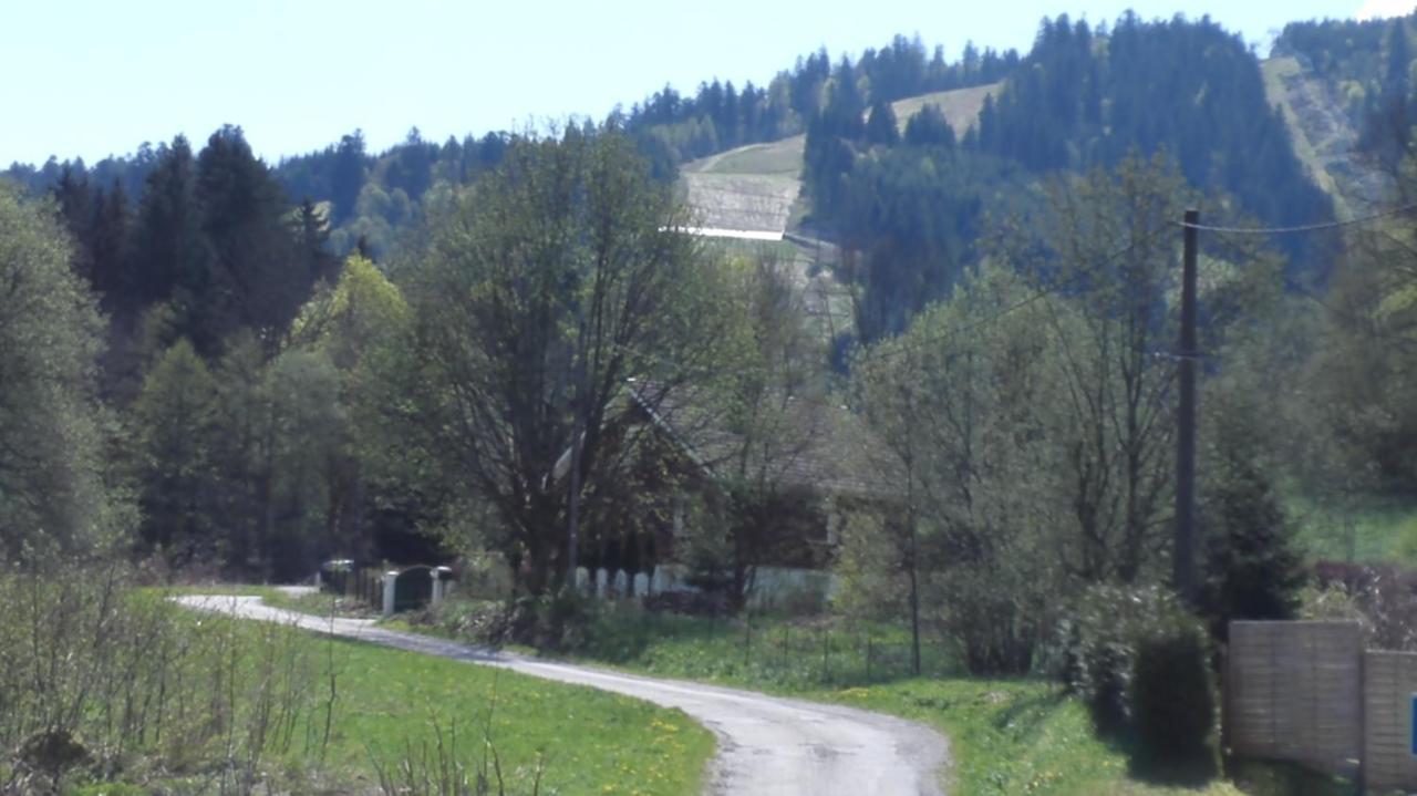LE BOIS JOLI Chalet 4 étoiles CLEDICIHOME Cadre paisible en lisière de forêt Gérardmer Exterior foto