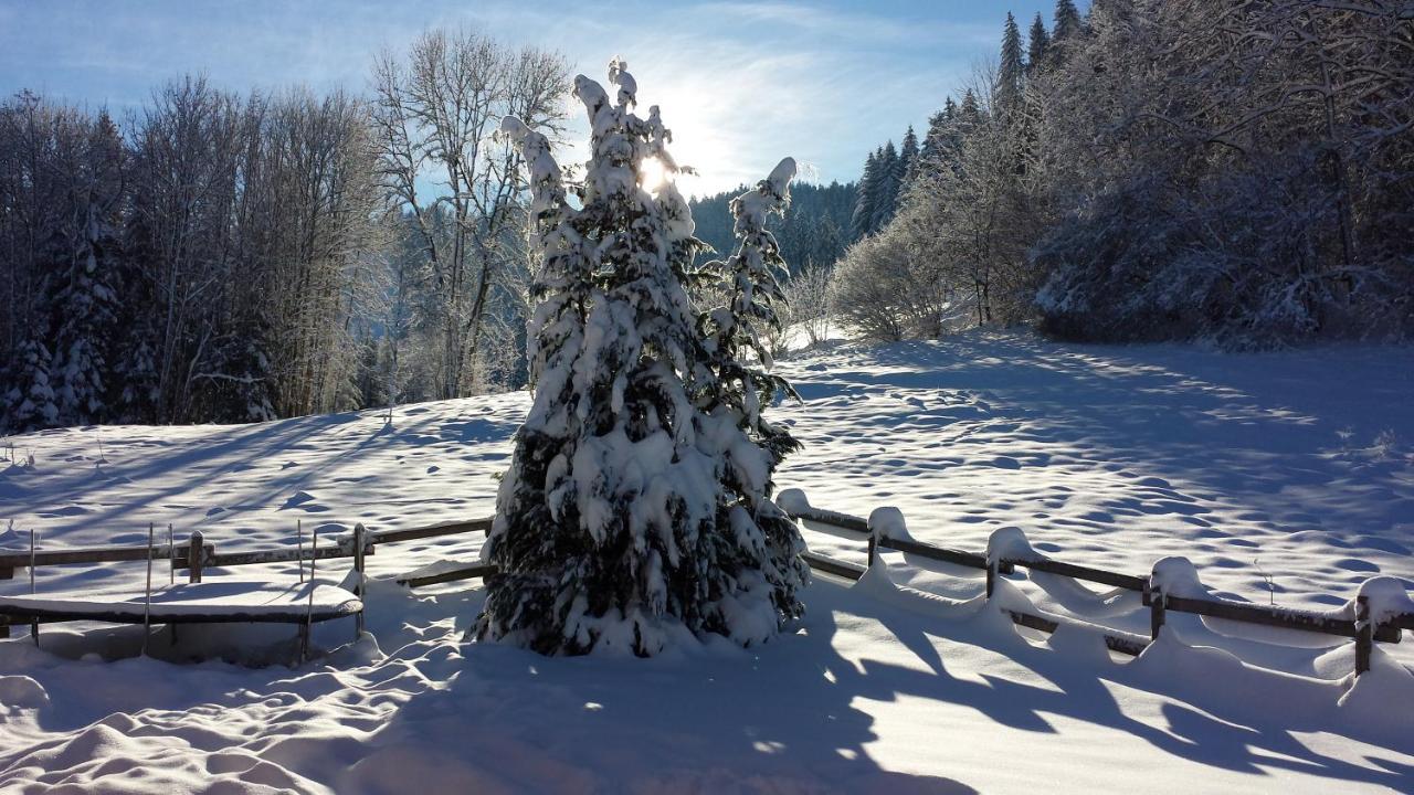 LE BOIS JOLI Chalet 4 étoiles CLEDICIHOME Cadre paisible en lisière de forêt Gérardmer Exterior foto