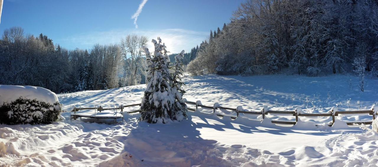 LE BOIS JOLI Chalet 4 étoiles CLEDICIHOME Cadre paisible en lisière de forêt Gérardmer Exterior foto